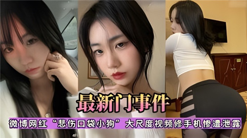网红悲伤口袋小狗私密视频泄露!修手机竟曝出大尺度完整版